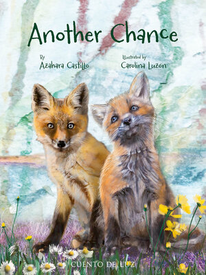 cover image of Another Chance